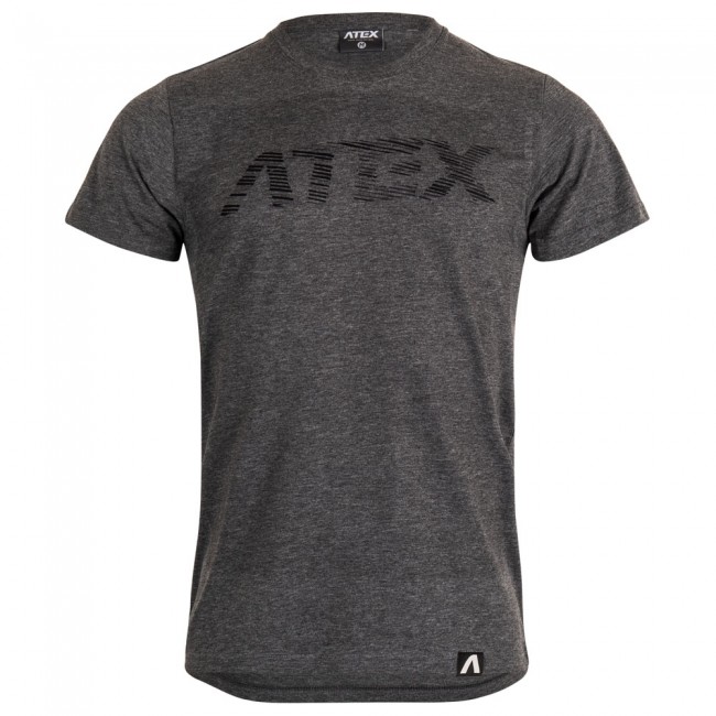 Men's t-shirt ATEX grey